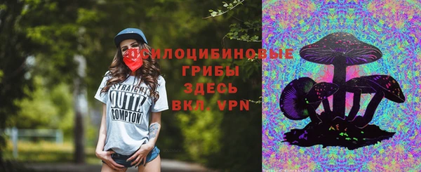 молекула духа Мегион