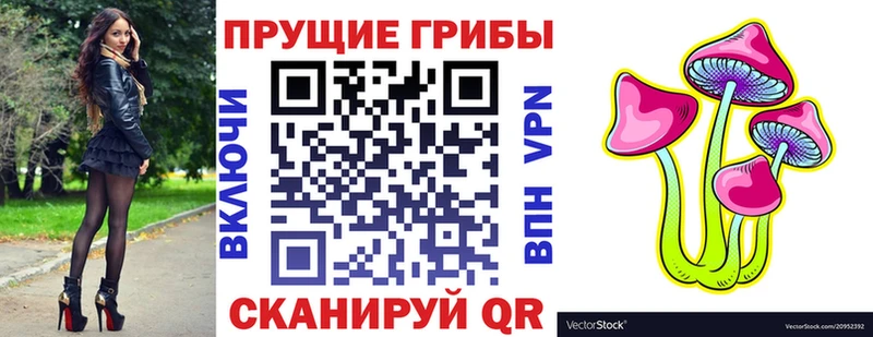 Купить  Кремёнки  Псилоцибиновые грибы Cubensis 