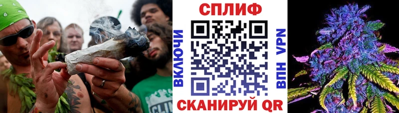 Конопля MAZAR  Купить где  Кремёнки 